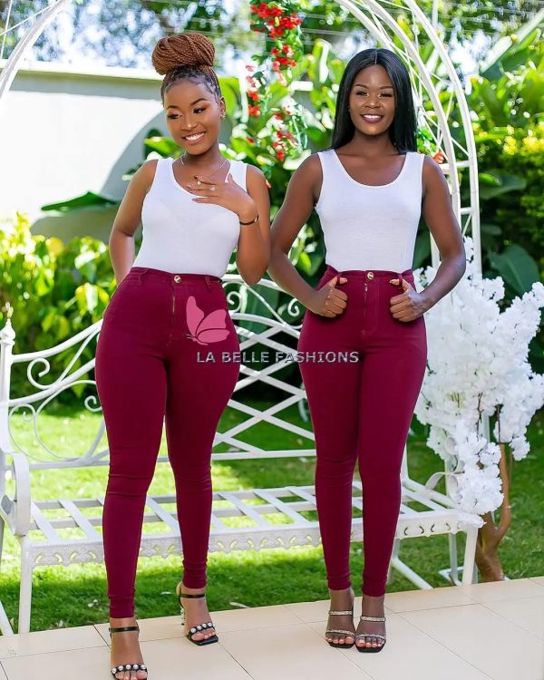 La Belle Sculpt Fit High-Waist Body Shaper Pants - Image 2